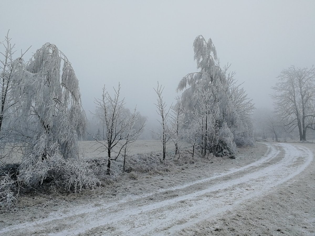 Svratka
