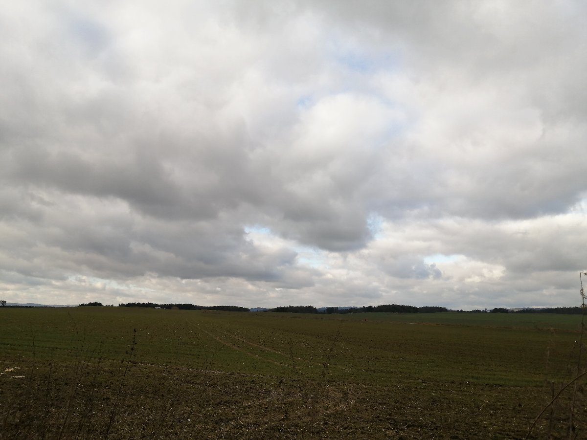Hostákov