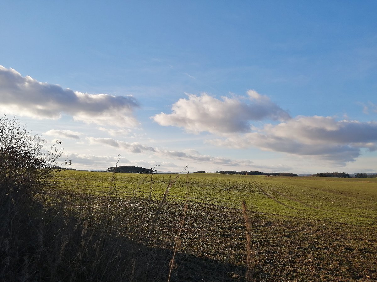 Hostákov