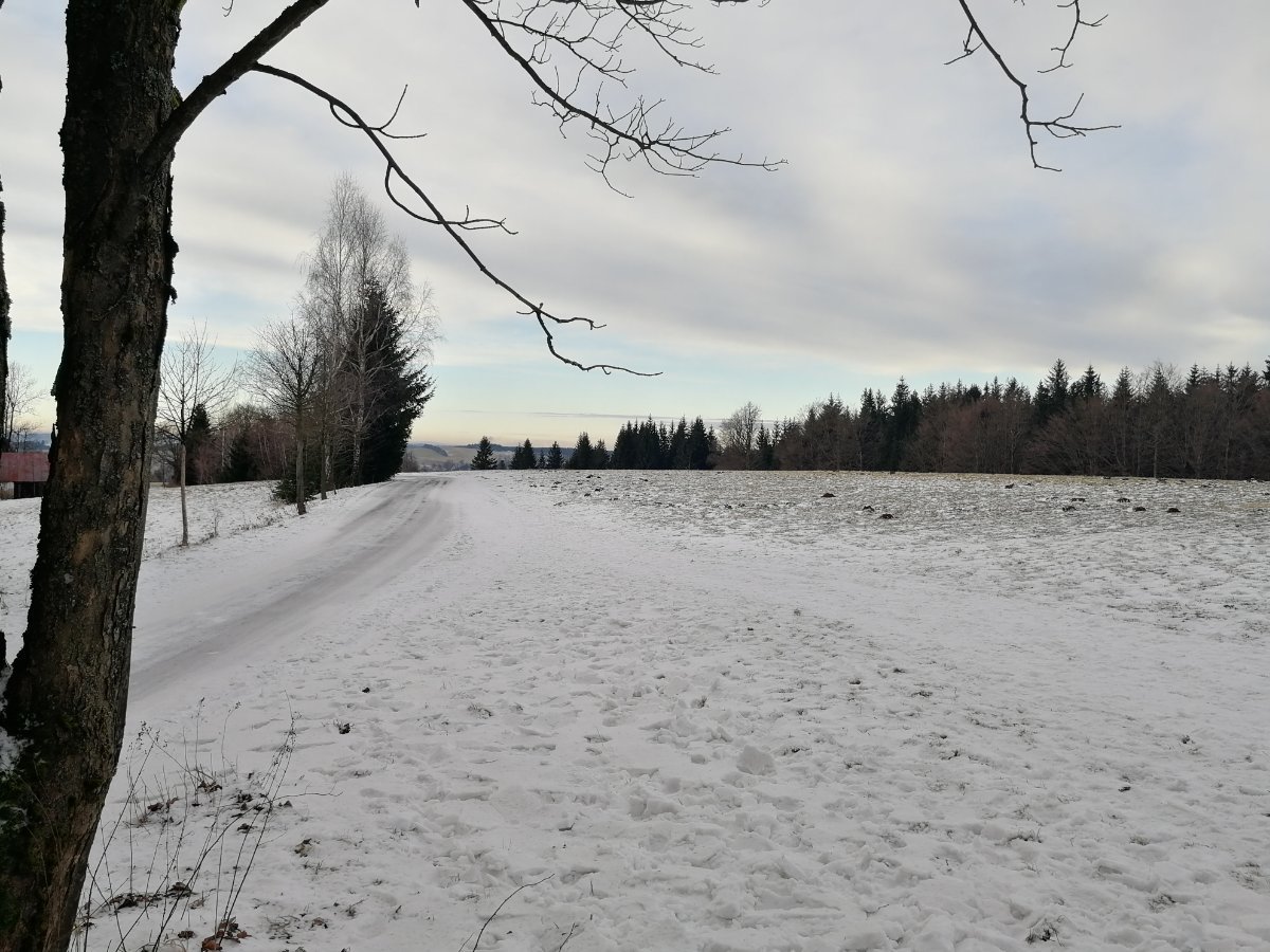 Svratka