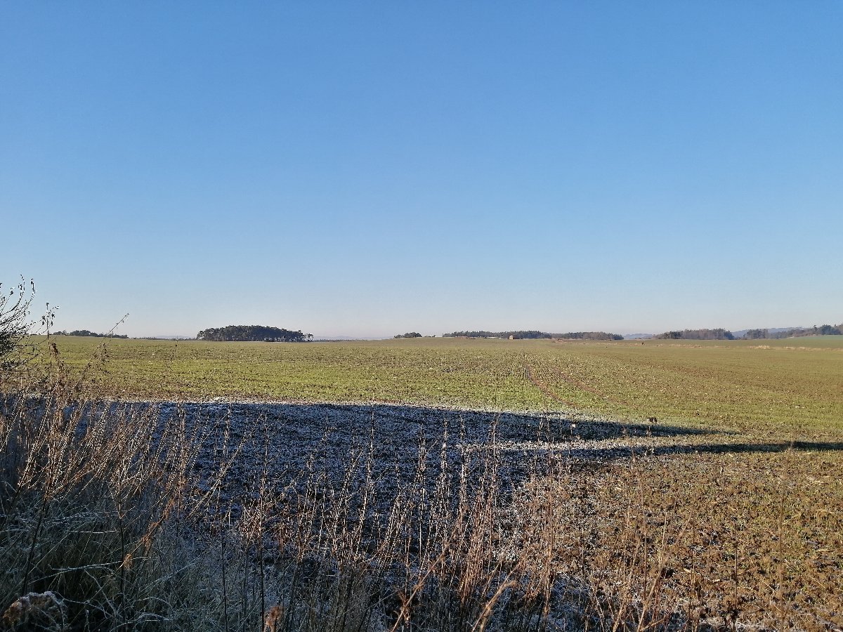 Hostákov