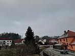 Olešná