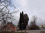 Jihlava
