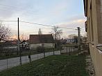 Třibřichy