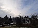 Olešná