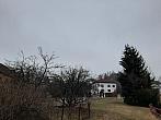 Olešná