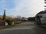 Třibřichy