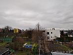Hořice - Libonice