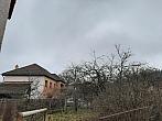 Olešná