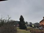 Olešná