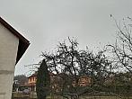 Olešná