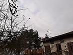 Olešná