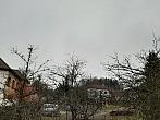 Olešná