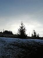 Skalité