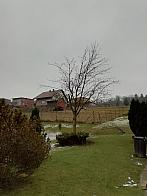 Skalité