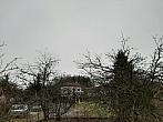 Olešná