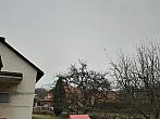 Olešná