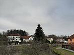 Olešná