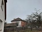 Olešná