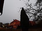 Olešná