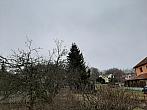 Olešná