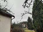 Olešná