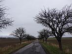 Dětenice-Brodek