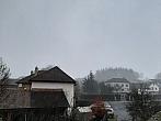 Olešná