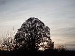 Dětenice-Brodek