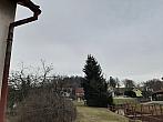 Olešná