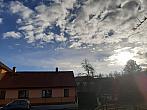Olešná