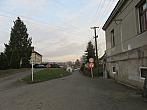 Třibřichy