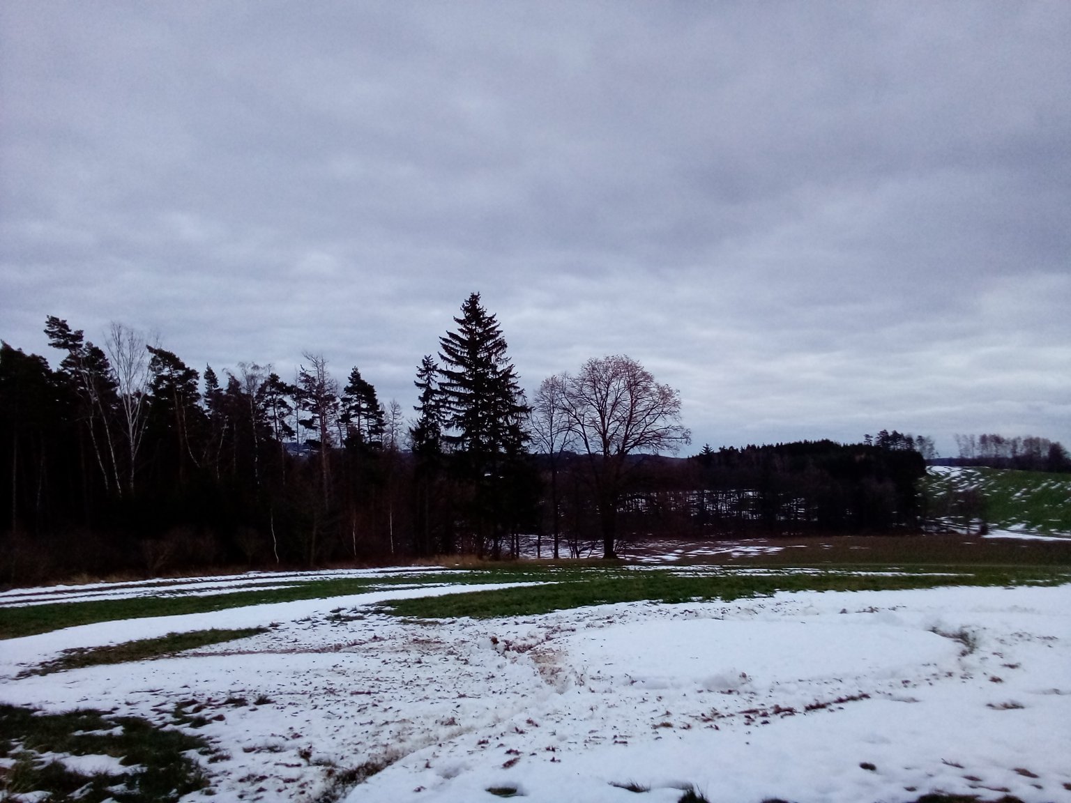 Olešná-Hatě