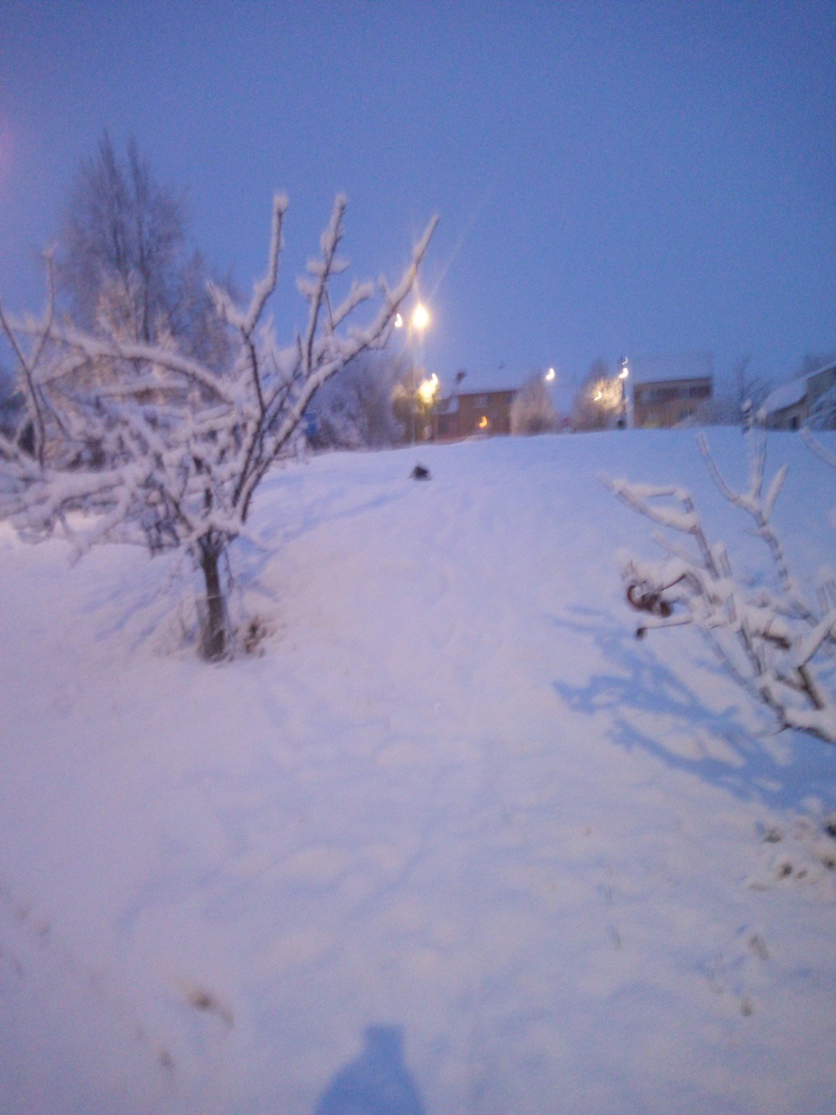 Žádovice