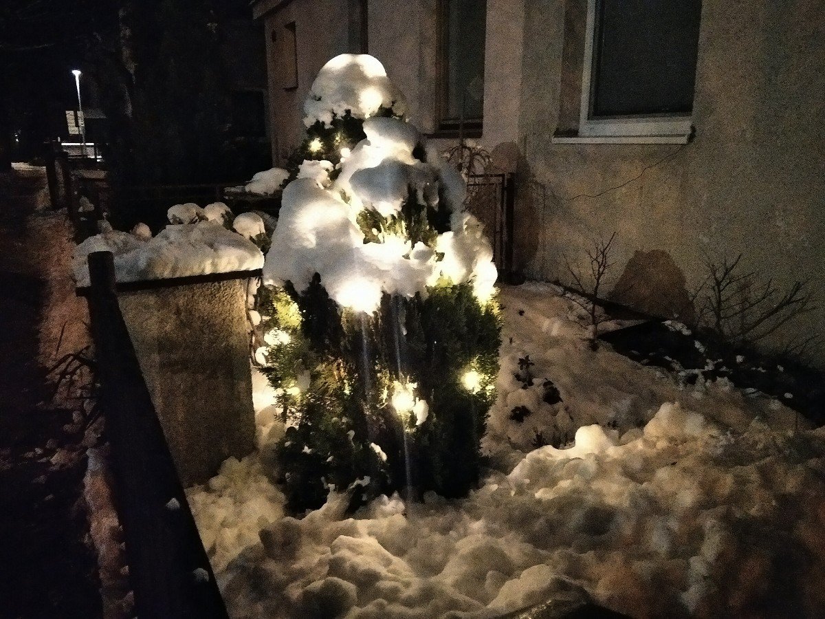 Borovina