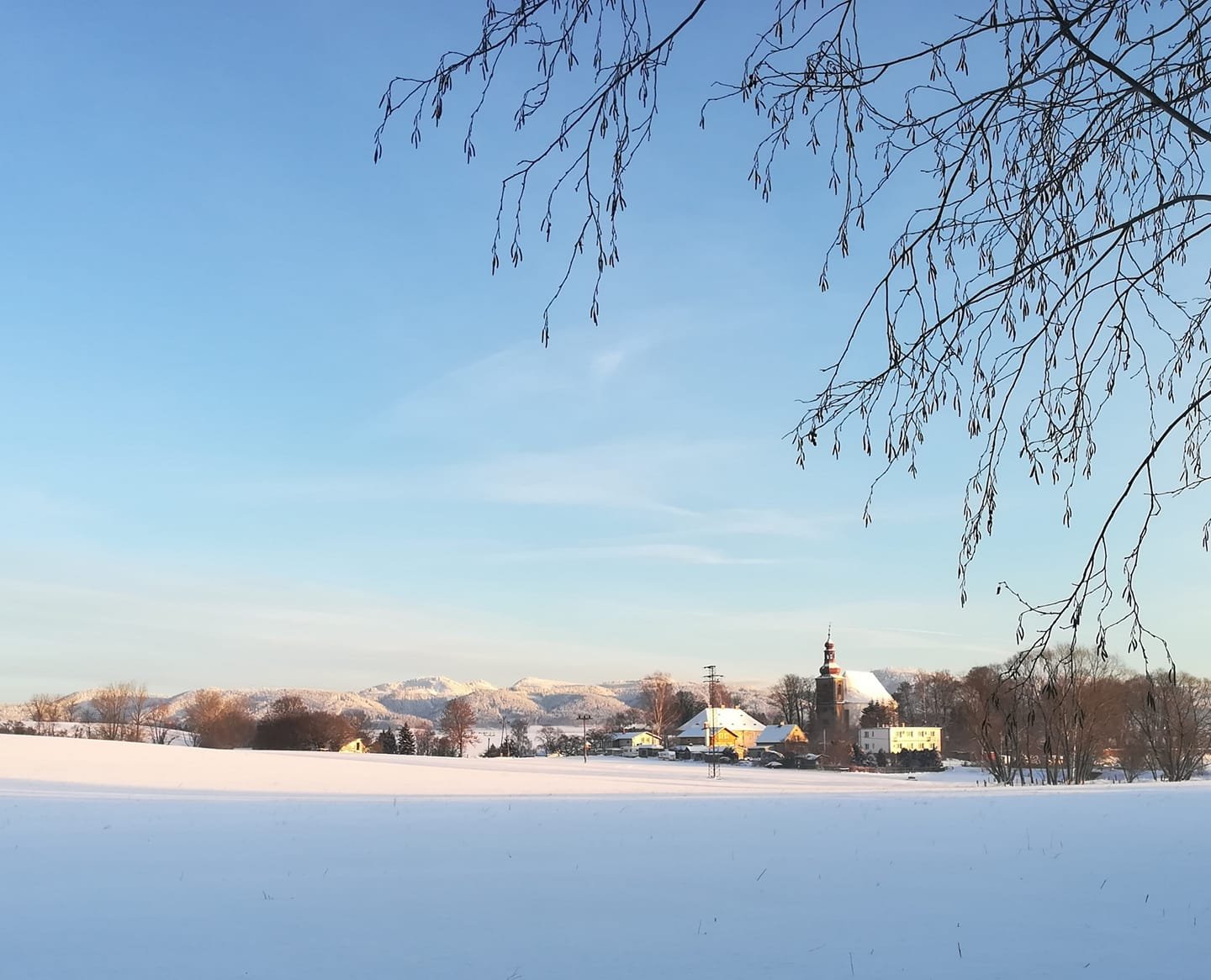 Březová