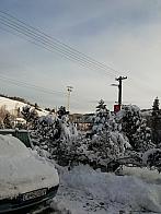 Skalité