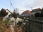 Třibřichy