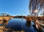 Chomutov