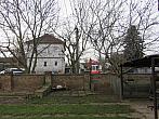 Třibřichy