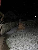 Třibřichy