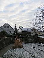 Třibřichy