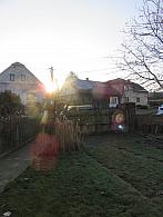 Třibřichy