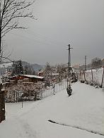 Skalité