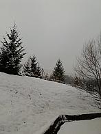Skalité