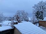 Holice