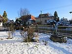 Třibřichy