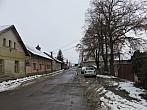 Třibřichy