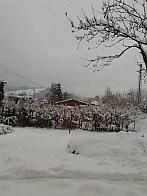 Skalité