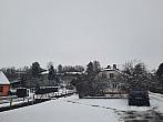 Olešná